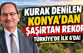 Kurak denilen Konya'dan şaşırtan rekor: Türkiye'de ilk 6'da!