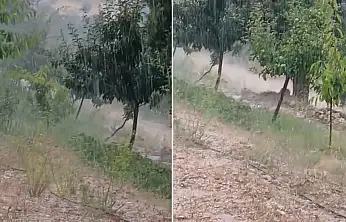 Meteoroloji uyarmıştı! Konya'da sağanak yağış etkili oldu