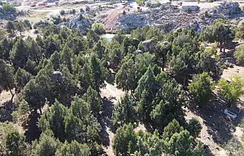 Milyonların gözü o yuvalardaydı: Leylekler vedasını etti, Beyşehir sessizliğe büründü!