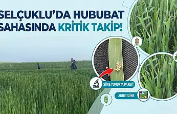 Selçuklu'da hububat sahasında kritik takip