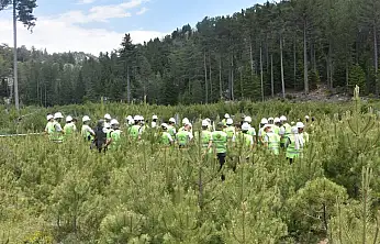 Toprak profili de var fidan sayımı da: Konya'nın yeşil ekosistemi uzmanlara emanet