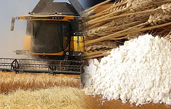 Türkiye'nin tahıl ambarı Konya, devler ligine damgasını vurdu