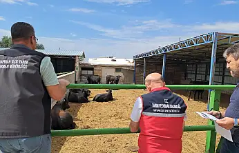 Üreticiye destek, sahada sıkı takip! Konya'da gözler işletmelerde
