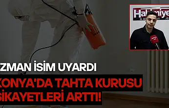 Uzman isim uyardı: Konya'da tahta kurusu şikayetleri arttı!