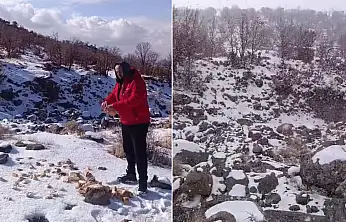 Yürek ısıtan görüntüler! Konya'da kar altında kalan canlar unutulmadı