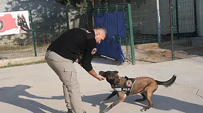 'Bulunmaz' denilen zulalar Konya'daki bu burunlardan kaçamıyor