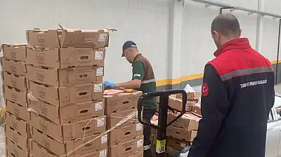 CİMER ihbarı skandalı ortaya çıkardı: Konya'da 7 ton bozuk tavuk eti ele geçirildi