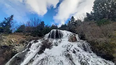 Konya'da doğanın gizli mucizesi! Yılda sadece 2 ay görünüyor