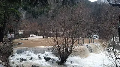 Konya'da erken bahar sevinci: Yağışlar kaynağı bir ay önce coşturdu