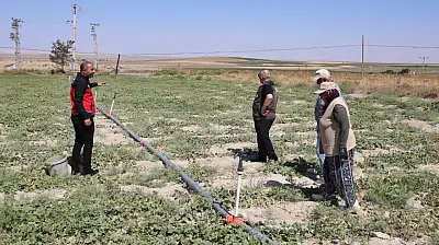 Konya'da hasat zamanı! Tadını bilen bu lezzeti bekliyor