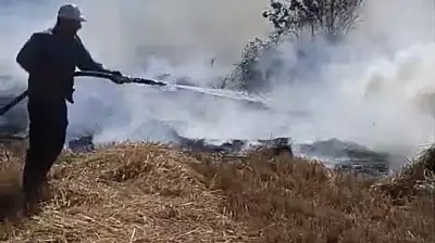 Konya'da korkutan yangın! Sazlıkta başladı, ormanlık alana sıçradı