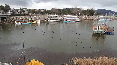 Konya'da kuraklık kabusu sona mı eriyor? Sevindiren manzara