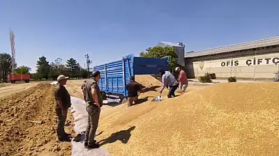 Konya'da TMO'dan tarihi rekor: Tam 2 milyon ton ürün depolara çekildi