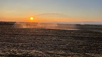 Konya'nın kuraklık kaderi akıllı sulama ile değişiyor