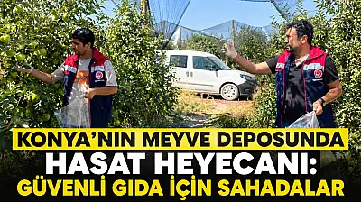 Konya'nın meyve deposunda hasat heyecanı: Güvenli gıda için sahadalar