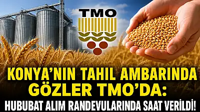 Konya'nın tahıl ambarında gözler TMO'da: Hububat alım randevularında saat verildi!