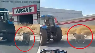 Tepki çeken görüntü: Traktörün arkasından böyle koşturdu