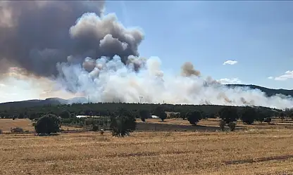 Uşak'ta korkutan yangın!