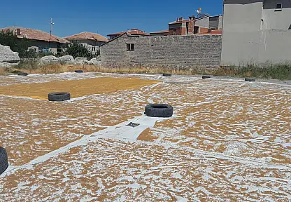 Hasat bitti, şimdi kazanlar kaynıyor! Konya'da günler süren telaş başladı