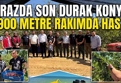 Kirazda son durak Konya!  Bin 900 metre rakımda hasat