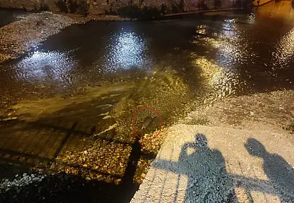Konya'da akşam saatlerinde ortaya çıktı! Görenler telefonuna sarıldı