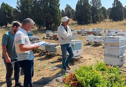 Konya'da arıcılara saha desteği: Kovan sayımı ve tespit çalışmaları başladı