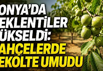 Konya'da beklentiler yükseldi: Bahçelerde rekolte umudu
