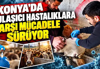 Konya'da bulaşıcı hastalıklara karşı mücadele sürüyor