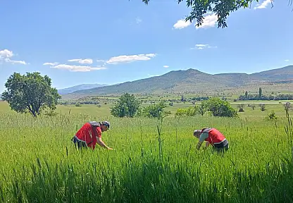Konya'da çiftçinin gözü bu çalışmada