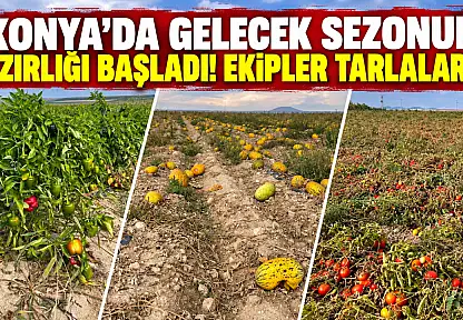 Konya'da gelecek sezonun hazırlığı başladı! Ekipler tarlalarda