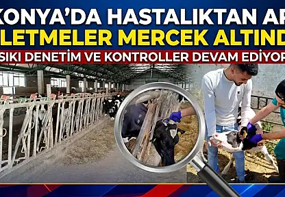 Konya'da hastalıktan ari işletmeler mercek altında
