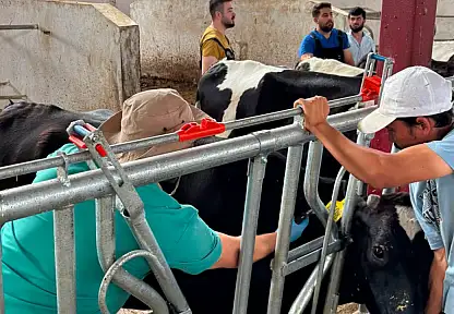 Konya'da hayvancılıkta sağlık operasyonu: Haritadan silmek için gece gündüz sahadalar