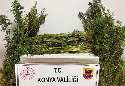 Konya'da jandarmadan peş peşe 59 operasyon! 7 tutuklama