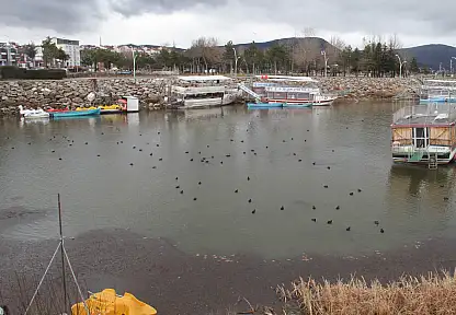 Konya'da kuraklık kabusu sona mı eriyor? Sevindiren manzara