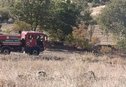 Konya'da mezarlık yakınında korkutan anlar!