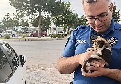 Konya'da polisten yavru kediye şefkat: Kurtarıp sahiplendiler