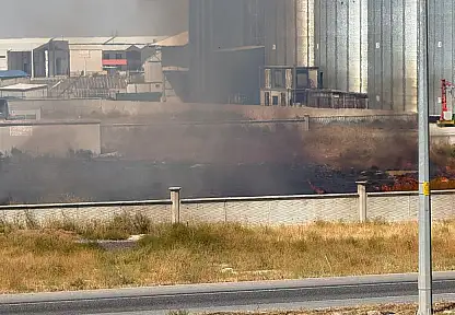 Konya'da yol kenarında yangın