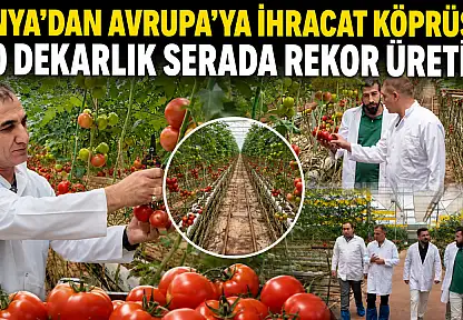 Konya'dan Avrupa'ya ihracat köprüsü: 100 dekarlık serada rekor üretim