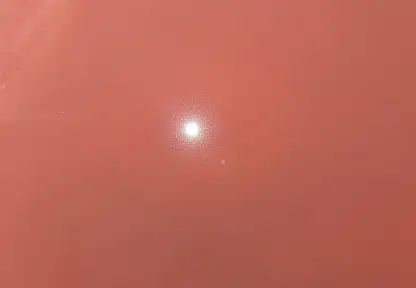 Konya'nın masalsı diyarı pembeye büründü! Şifa arayan akın ediyor