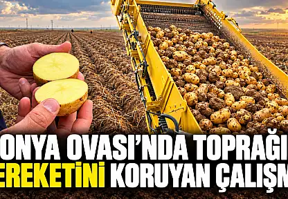 Konya Ovası'nda toprağın bereketini koruyan çalışma