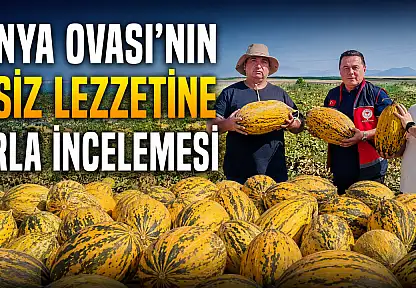 Konya Ovası'nın eşsiz lezzetine tarla incelemesi