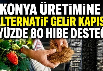 Konya üretimine alternatif gelir kapısı: Yüzde 80 hibe desteği
