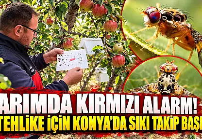 Tarımda kırmızı alarm! O tehlike için Konya'da sıkı takip başladı