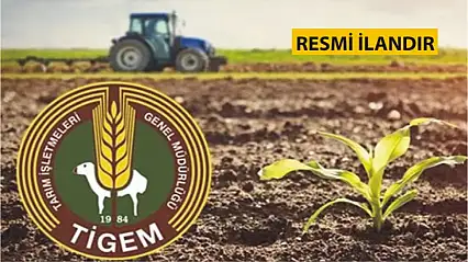 GARSON, TEMİZLİKÇİ, AŞÇI YARDIMCISI VE BULAŞIKÇI HİZMET ALIMI