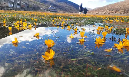 Konya'da bahar havası esiyor!