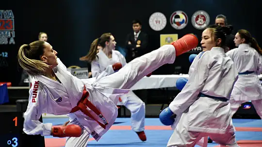 Karate 1 A serisi Konya'da devam ediyor