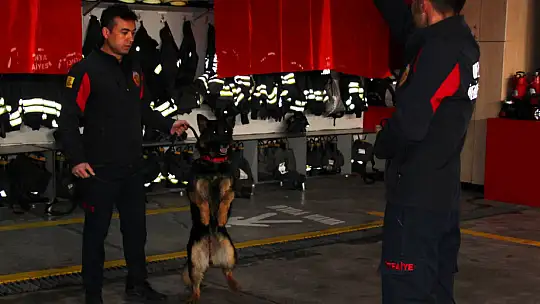 Konya İtfaiyesinin Cesur Köpeği