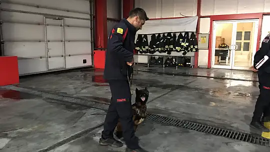 Konya İtfaiyesinin Cesur Köpeği