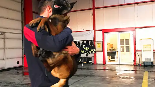 Konya İtfaiyesinin Cesur Köpeği