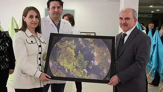 Numune hastanesinde ki hastalıklı dokular sanat eserine dönüştü